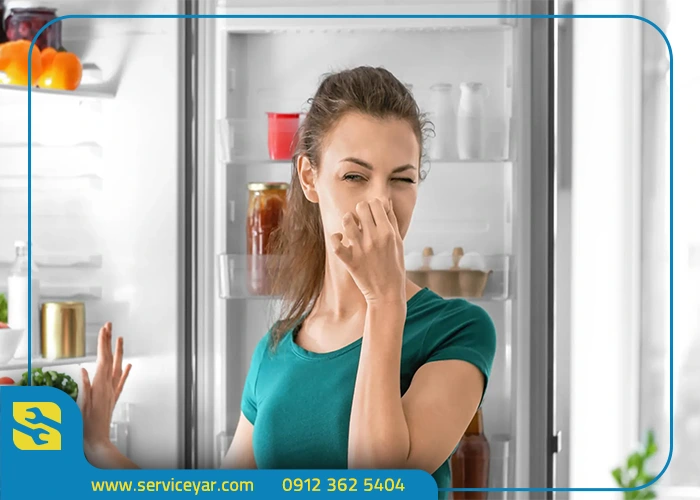 آموزش رفع بوی بد یخچال در خانه