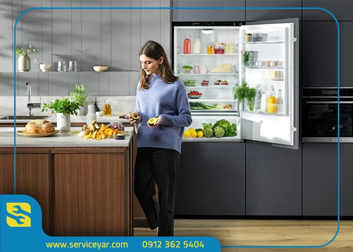 تنظیم نبودن دمای یخچال